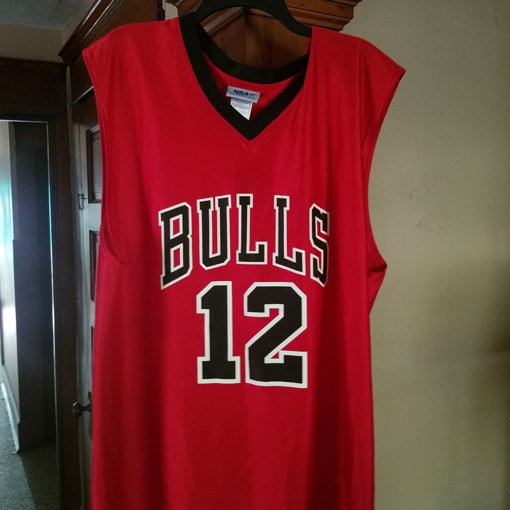Kirk Hinrich Chicago bulls Jersey